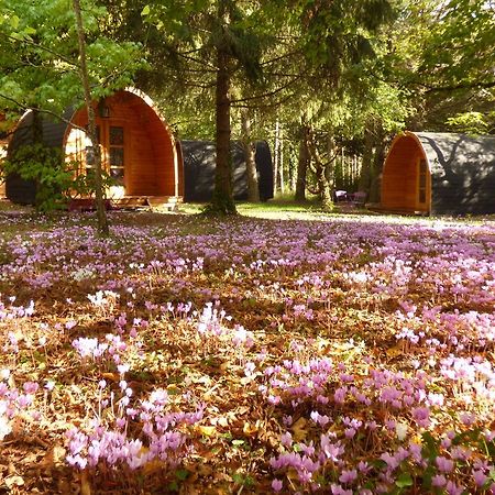 La Rossignolerie - Pod Cabanes Des Chateaux Chouzy-sur-Cisse Luaran gambar