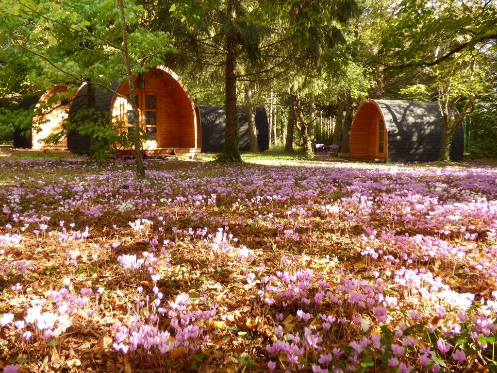 La Rossignolerie - Pod Cabanes Des Chateaux Chouzy-sur-Cisse Luaran gambar