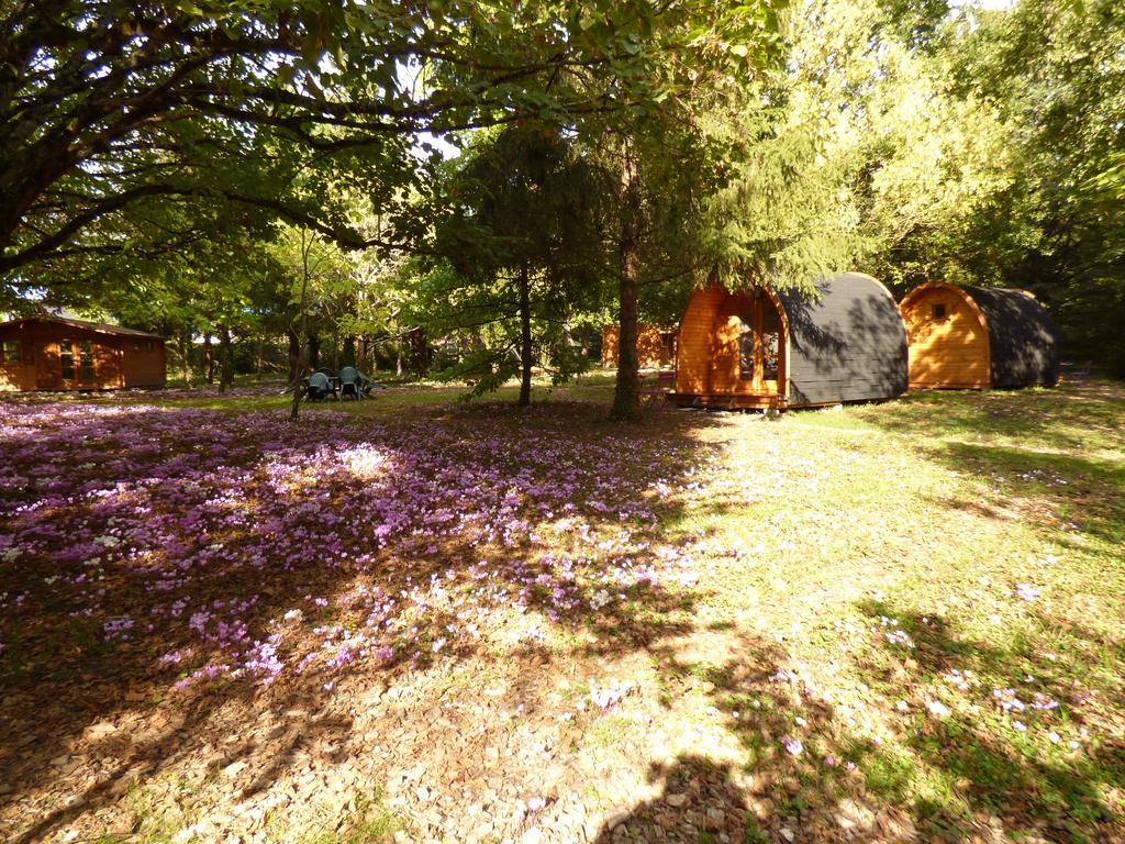 La Rossignolerie - Pod Cabanes Des Chateaux Chouzy-sur-Cisse Luaran gambar